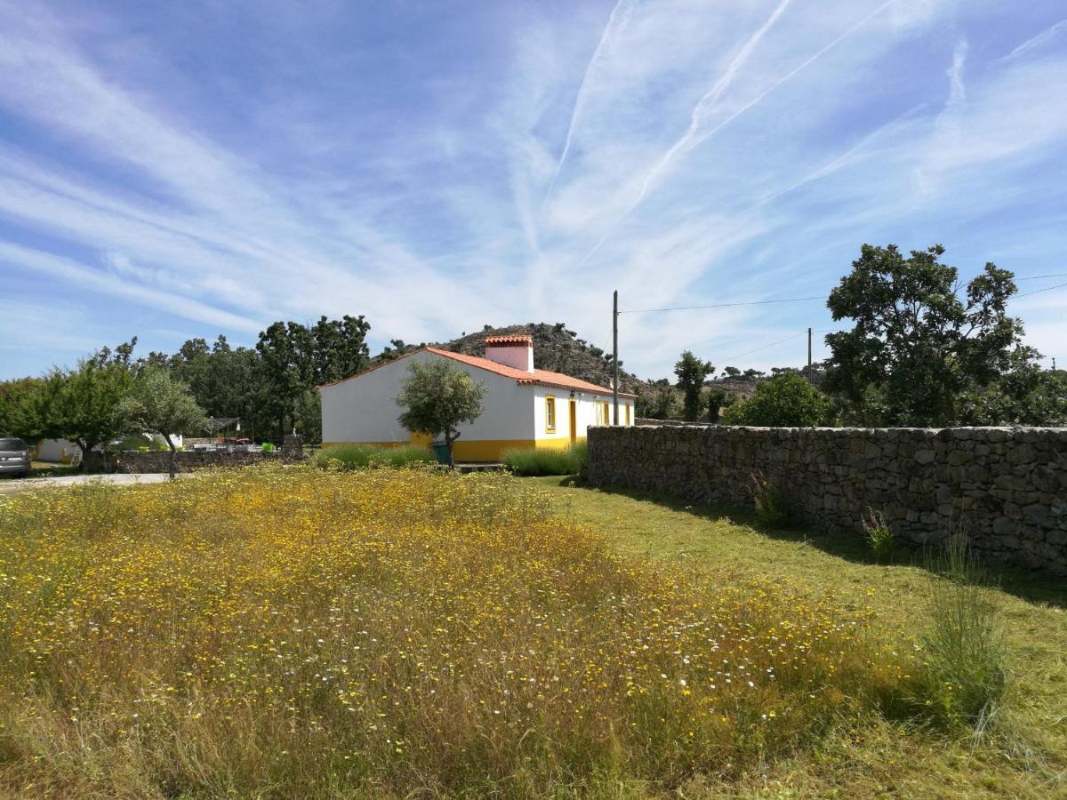 Casa Das Amoras Santo António das Areias Esterno foto
