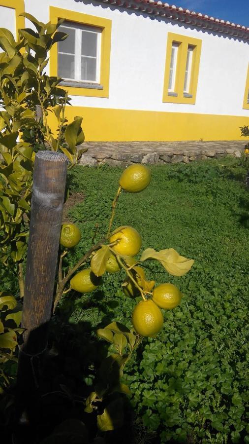 Casa Das Amoras Santo António das Areias Esterno foto